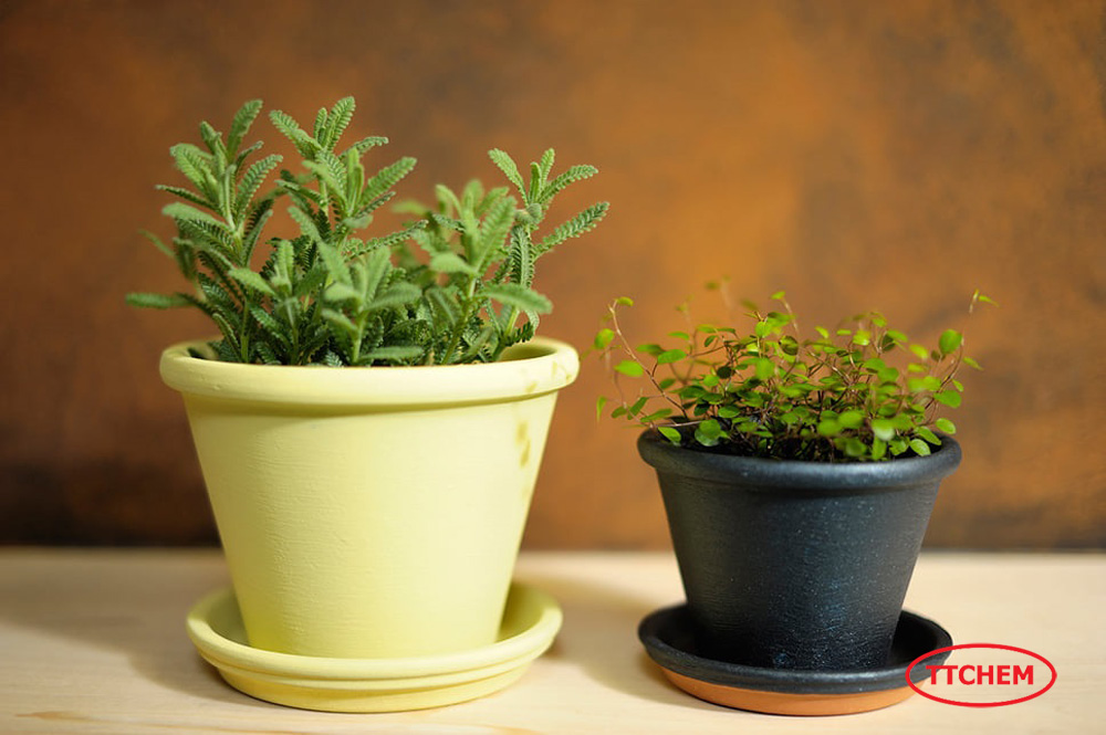 Son-ngoi-pegar-ls5488